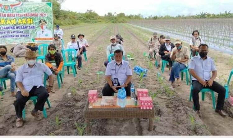 Pertanian menjadi penguat bangsa